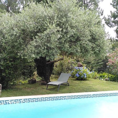 Brin D Ardeche Bed and Breakfast Lentilleres Buitenkant foto