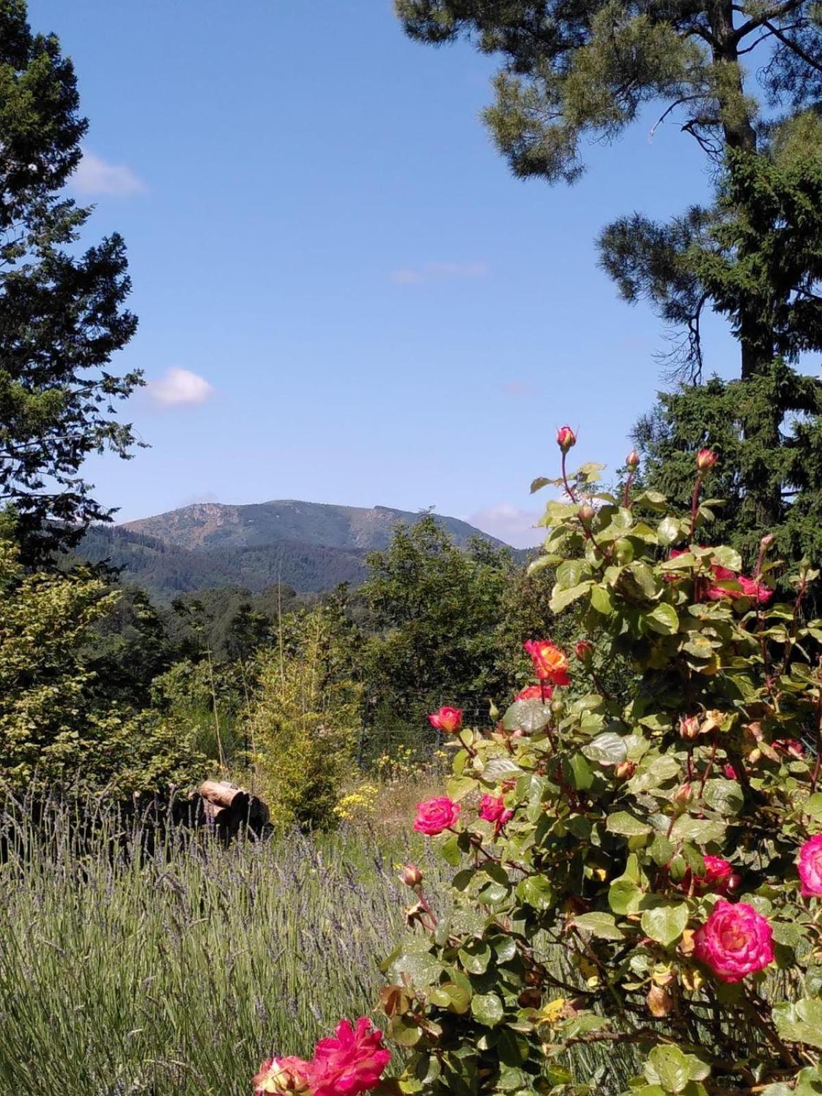 Brin D Ardeche Bed and Breakfast Lentilleres Buitenkant foto