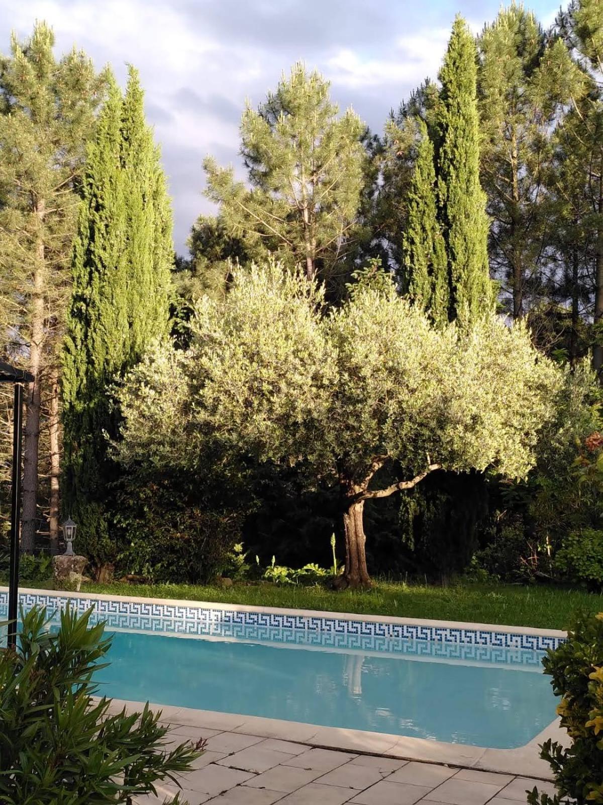 Brin D Ardeche Bed and Breakfast Lentilleres Buitenkant foto