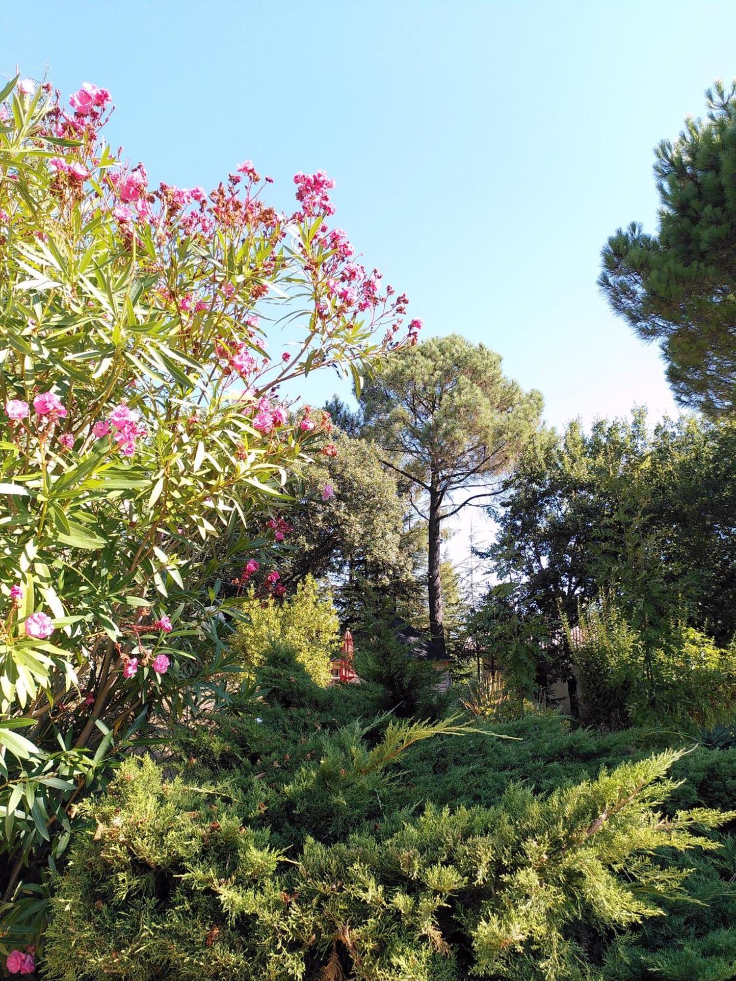 Brin D Ardeche Bed and Breakfast Lentilleres Buitenkant foto