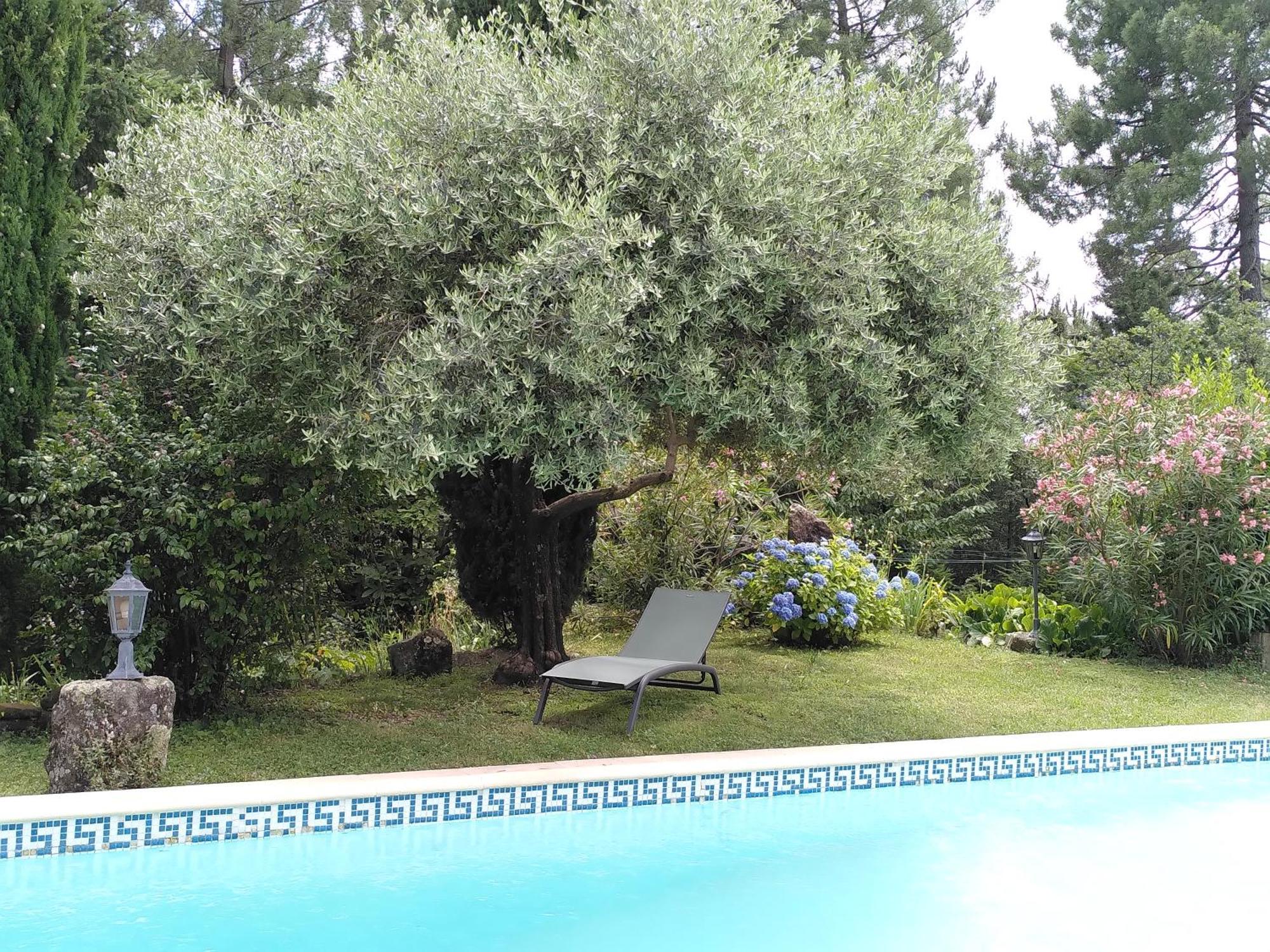 Brin D Ardeche Bed and Breakfast Lentilleres Buitenkant foto